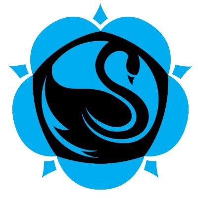 Swanmore College